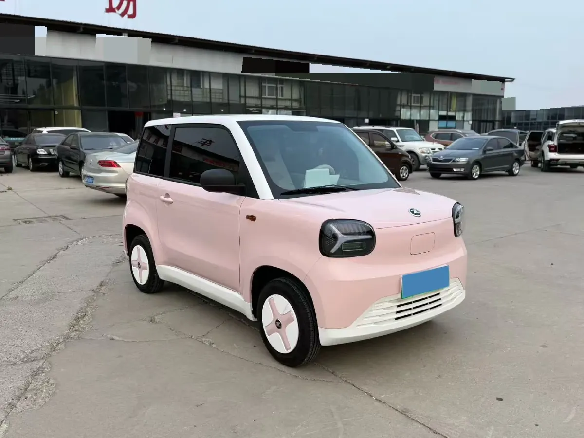 2024 ZD Rainbow BEV 17.3KWH,autocango,china used car exporter,china ev exporter,chinese used car exporter,chinese used ev exporter