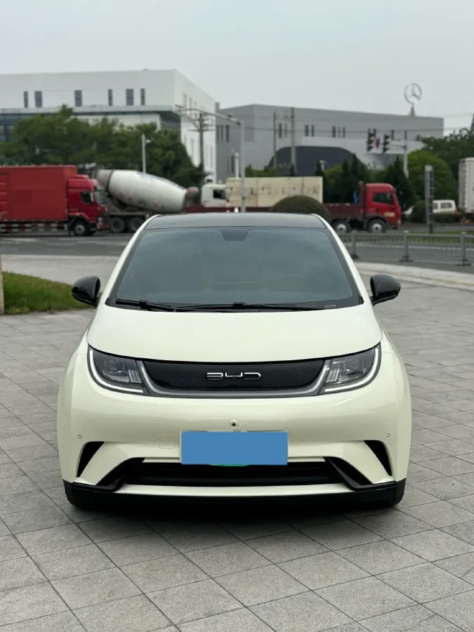 2023 BYD Dolphin BEV 44.928KWH,autocango,china used car exporter,china ev exporter,chinese used car exporter,chinese used ev exporter