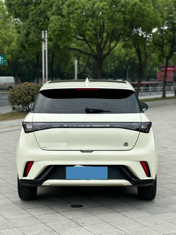 2023 BYD Dolphin BEV 44.928KWH,autocango,china used car exporter,china ev exporter,chinese used car exporter,chinese used ev exporter