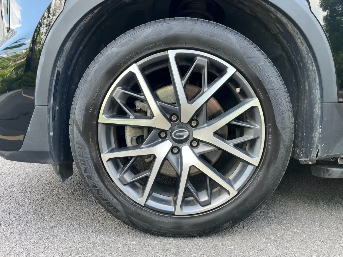 2022 GAC Trumpchi GS8 2.0T 252HP L4 8AT,autocango,china used car exporter,china ev exporter,chinese used car exporter,chinese used ev exporter