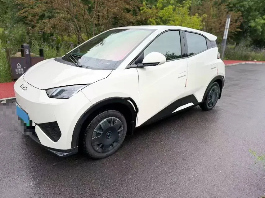 2025 BYD Seagull BEV 30.08KWH,autocango,china used car exporter,china ev exporter,chinese used car exporter,chinese used ev exporter