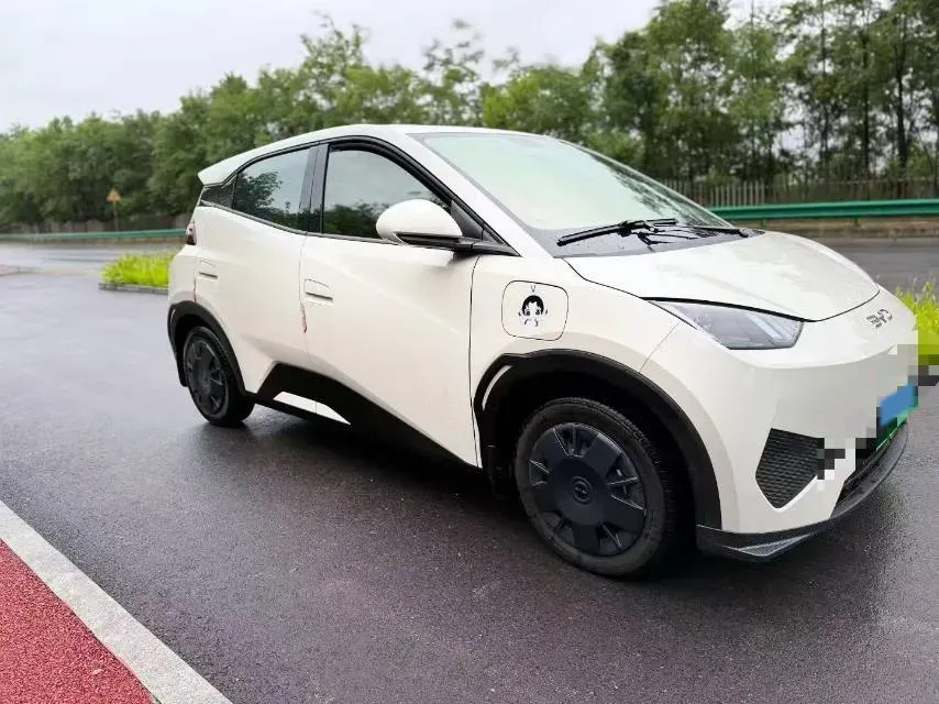 2025 BYD Seagull BEV 30.08KWH,autocango,china used car exporter,china ev exporter,chinese used car exporter,chinese used ev exporter