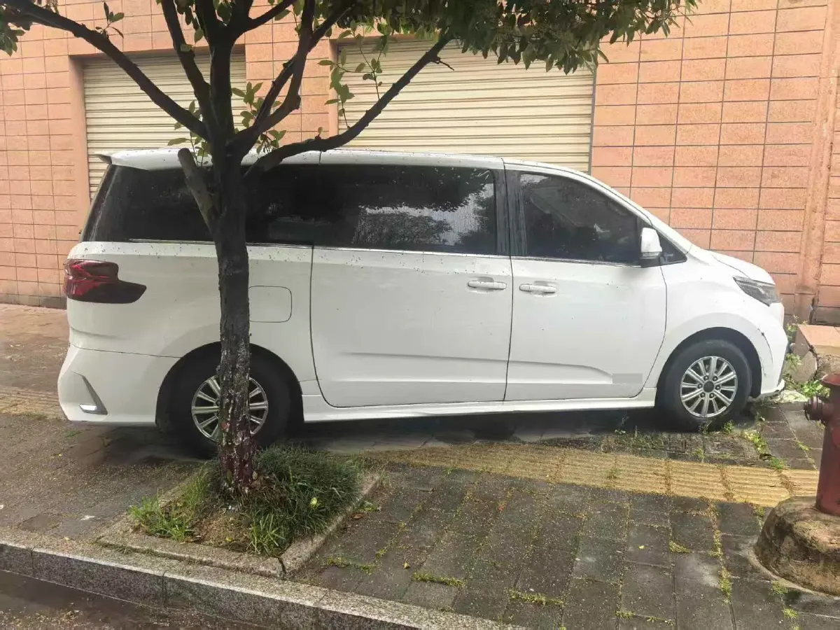 2023 MAXUS G10 2.0T 163HP L4 6MT,autocango,china used car exporter,china ev exporter,chinese used car exporter,chinese used ev exporter