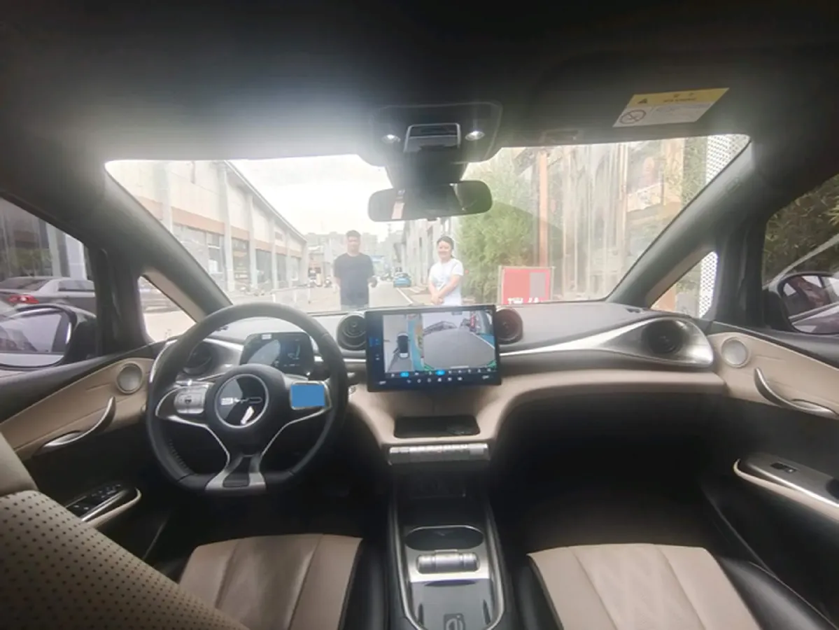 2023 BYD Dolphin BEV 44.928KWH,autocango,china used car exporter,china ev exporter,chinese used car exporter,chinese used ev exporter