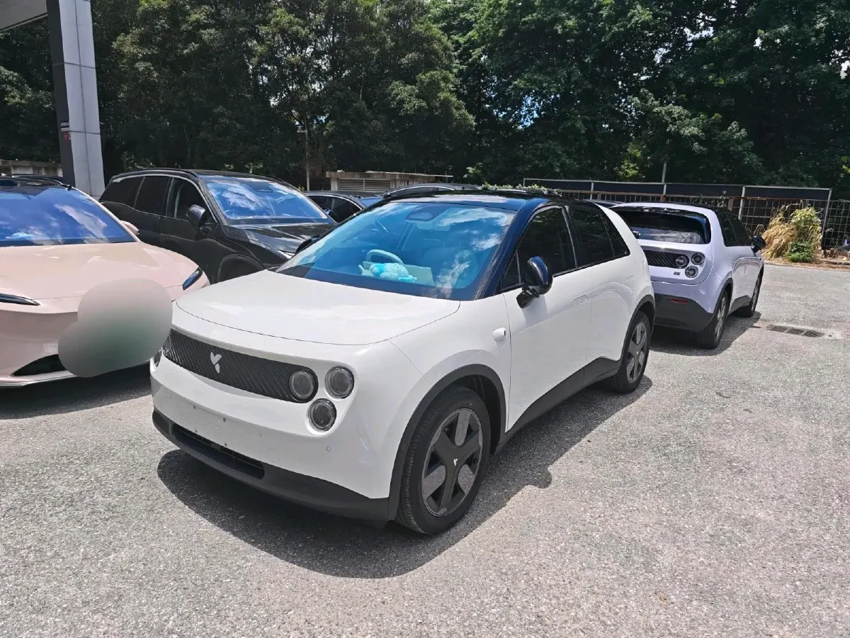 2025 Firefly Firefly BEV,autocango,china used car exporter,china ev exporter,chinese used car exporter,chinese used ev exporter
