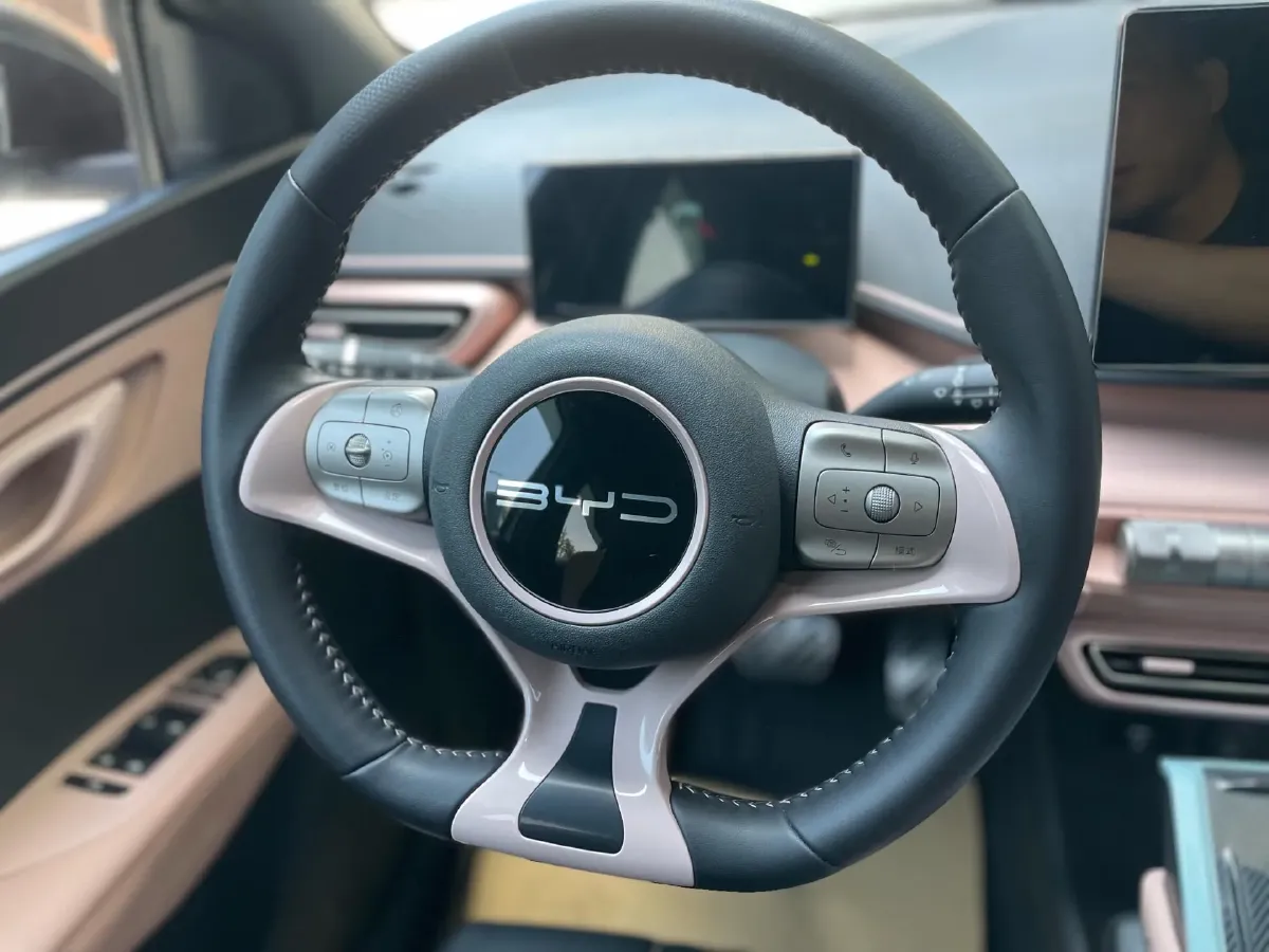 2023 BYD Seagull BEV 38.88KWH,autocango,china used car exporter,china ev exporter,chinese used car exporter,chinese used ev exporter