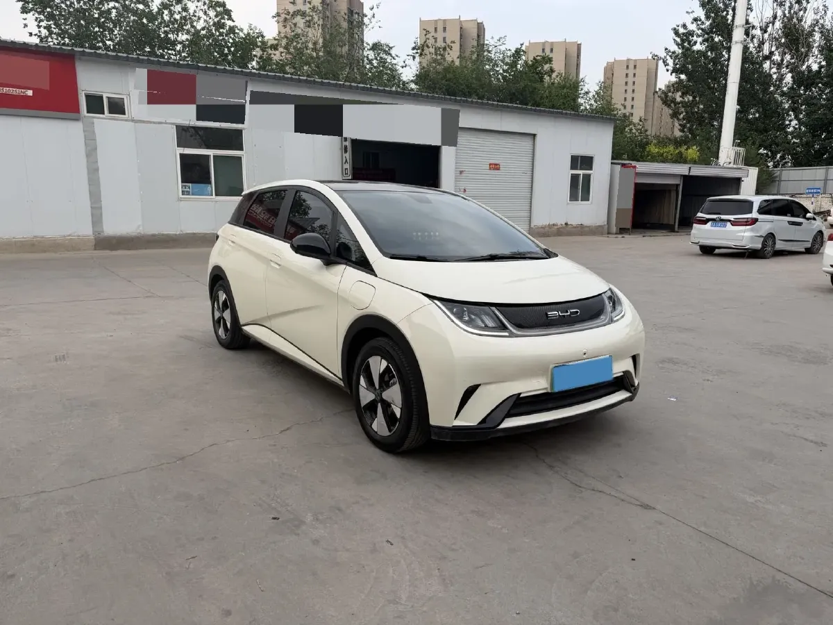 2023 BYD Dolphin BEV 44.928KWH,autocango,china used car exporter,china ev exporter,chinese used car exporter,chinese used ev exporter
