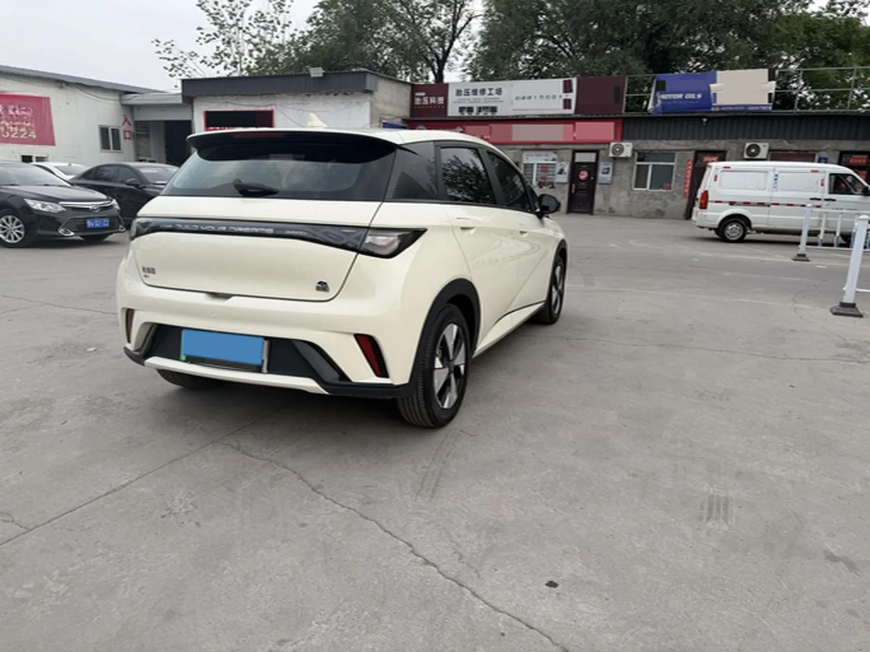 miniatura 9