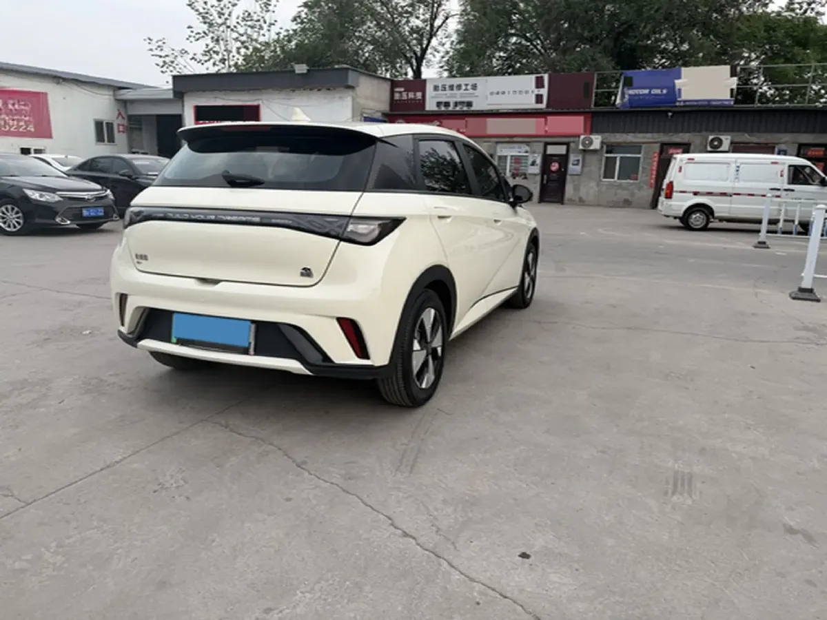 2023 BYD Dolphin BEV 44.928KWH,autocango,china used car exporter,china ev exporter,chinese used car exporter,chinese used ev exporter