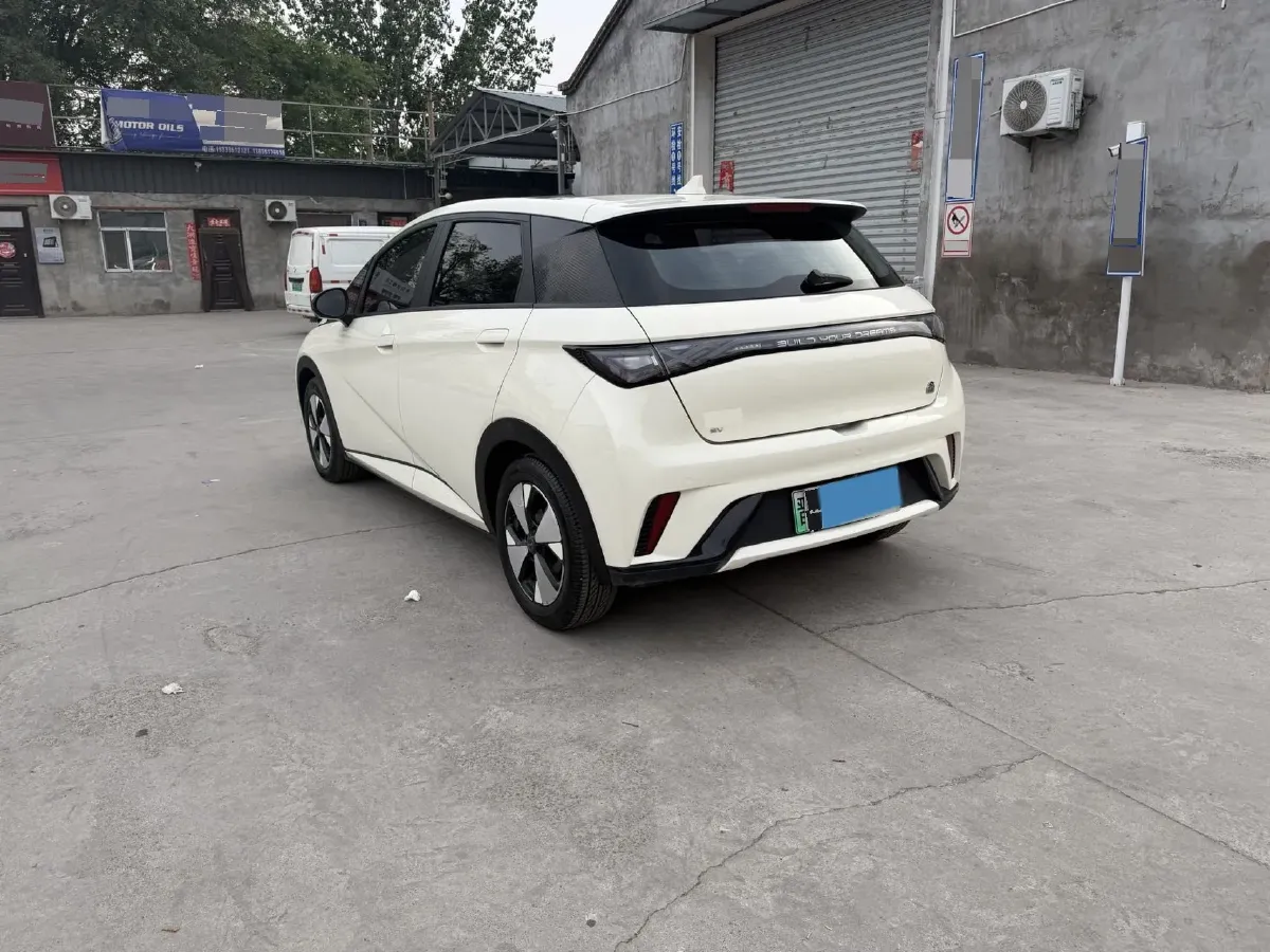 2023 BYD Dolphin BEV 44.928KWH,autocango,china used car exporter,china ev exporter,chinese used car exporter,chinese used ev exporter