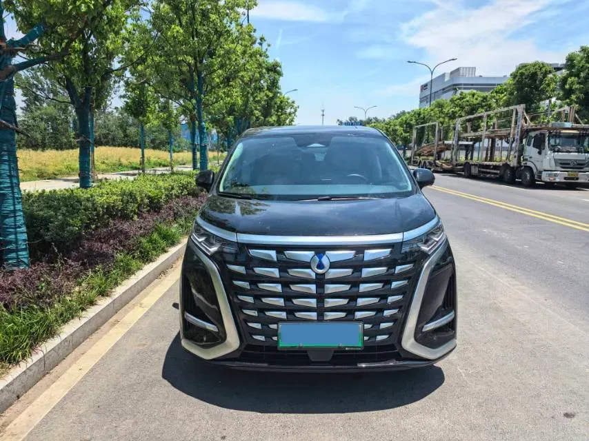 2024 Denza D9 1.5T 139HP L4 E-CVT PHEV 40KWH,autocango,china used car exporter,china ev exporter,chinese used car exporter,chinese used ev exporter