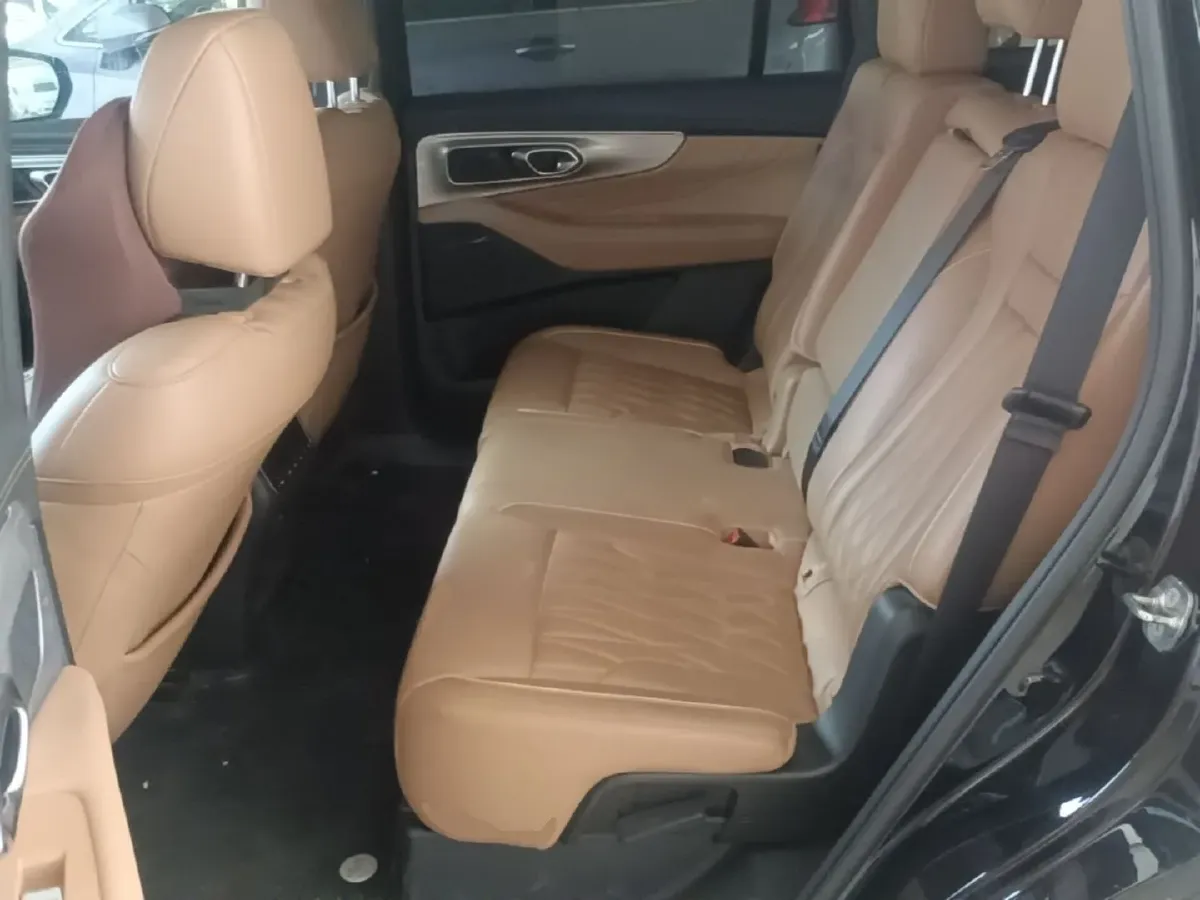 2024 GAC Trumpchi GS8 2.0T 252HP L4 8AT,autocango,china used car exporter,china ev exporter,chinese used car exporter,chinese used ev exporter