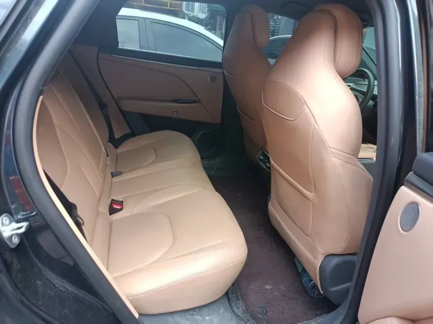 2025 MAXUS G10 2.0T 261HP L4 8AT,autocango,china used car exporter,china ev exporter,chinese used car exporter,chinese used ev exporter