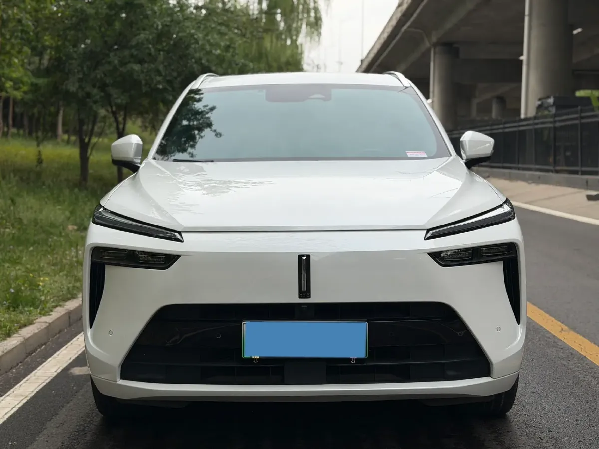 2023 WEY BlueMountain 1.5T 154HP L4 2DHT PHEV 44.5KWH,autocango,china used car exporter,china ev exporter,chinese used car exporter,chinese used ev exporter