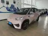 2025 BYD Seagull BEV 38.88KWH