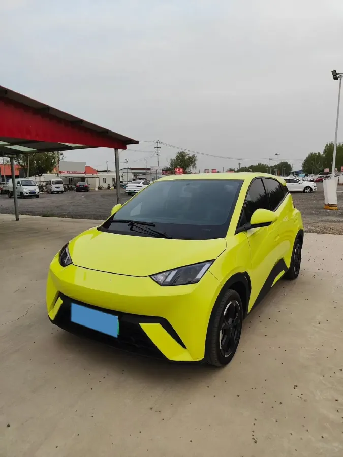 2023 BYD Seagull BEV 30.08KWH,autocango,china used car exporter,china ev exporter,chinese used car exporter,chinese used ev exporter