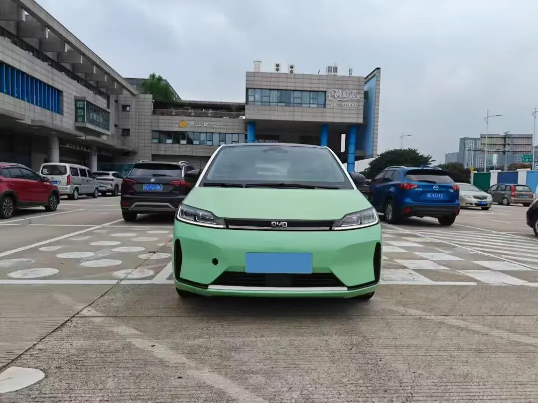 2021 BYD Qin Plus BEV 57KWH,autocango,china used car exporter,china ev exporter,chinese used car exporter,chinese used ev exporter