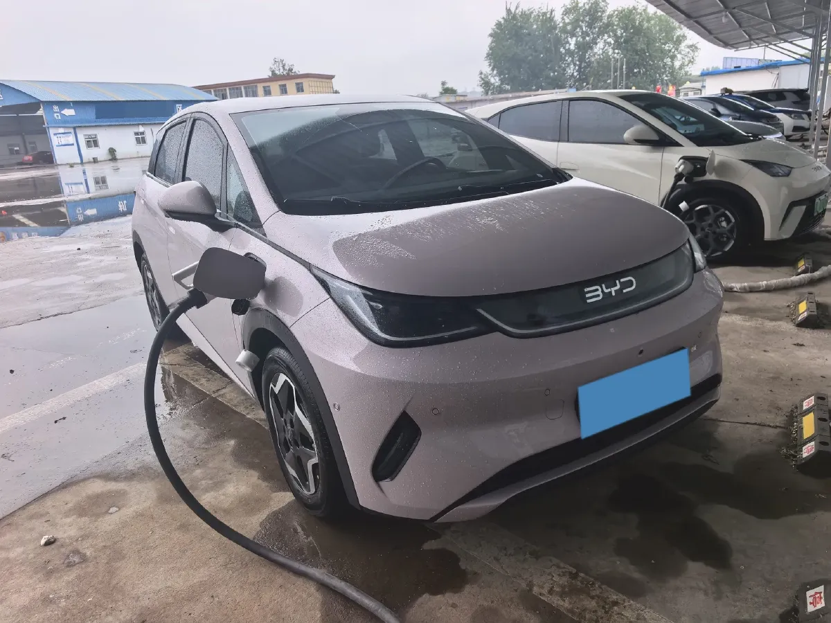 2025 BYD Dolphin BEV 45.12KWH,autocango,china used car exporter,china ev exporter,chinese used car exporter,chinese used ev exporter