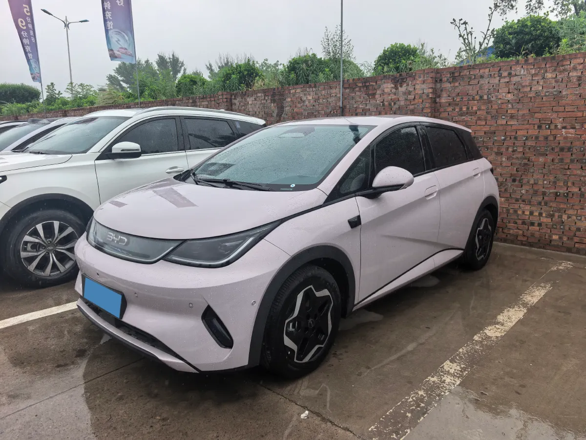 2025 BYD Dolphin BEV 45.12KWH,autocango,china used car exporter,china ev exporter,chinese used car exporter,chinese used ev exporter