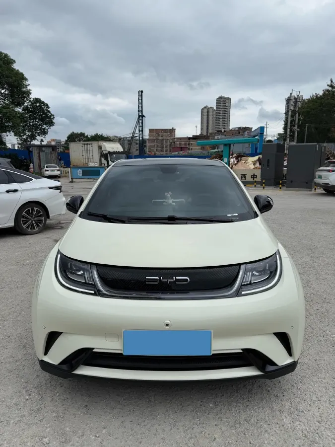 2024 BYD Dolphin BEV 44.928KWH,autocango,china used car exporter,china ev exporter,chinese used car exporter,chinese used ev exporter