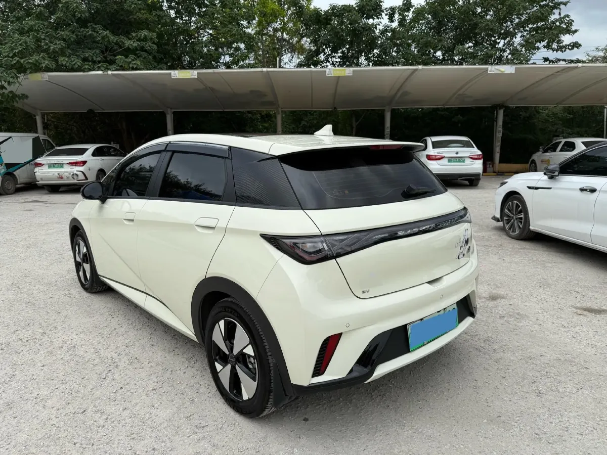 2024 BYD Dolphin BEV 44.928KWH,autocango,china used car exporter,china ev exporter,chinese used car exporter,chinese used ev exporter