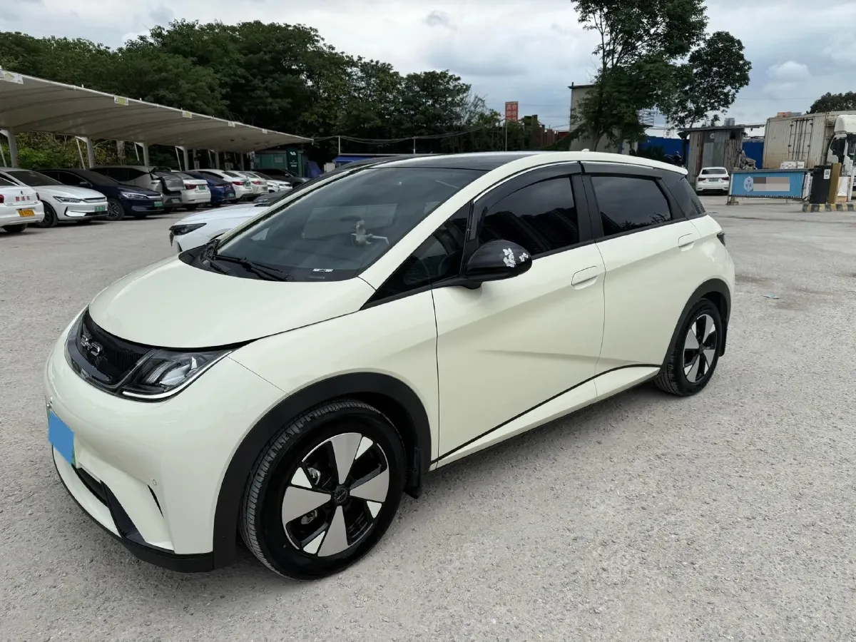 2024 BYD Dolphin BEV 44.928KWH,autocango,china used car exporter,china ev exporter,chinese used car exporter,chinese used ev exporter