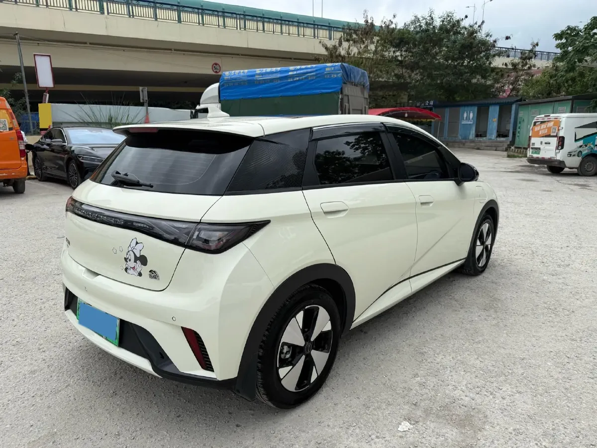 2024 BYD Dolphin BEV 44.928KWH,autocango,china used car exporter,china ev exporter,chinese used car exporter,chinese used ev exporter