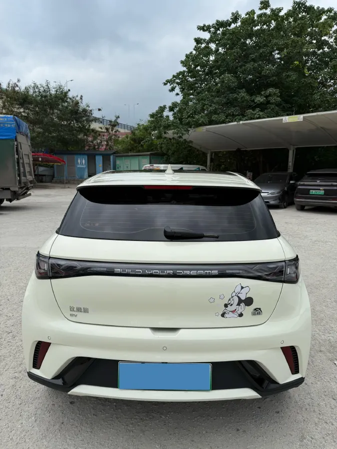 2024 BYD Dolphin BEV 44.928KWH,autocango,china used car exporter,china ev exporter,chinese used car exporter,chinese used ev exporter