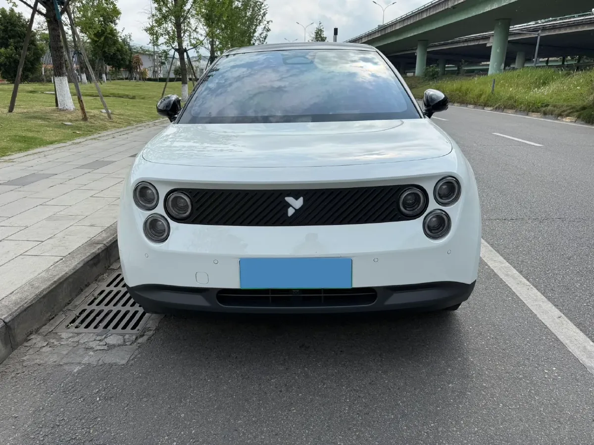 2025 Firefly Firefly BEV,autocango,china used car exporter,china ev exporter,chinese used car exporter,chinese used ev exporter