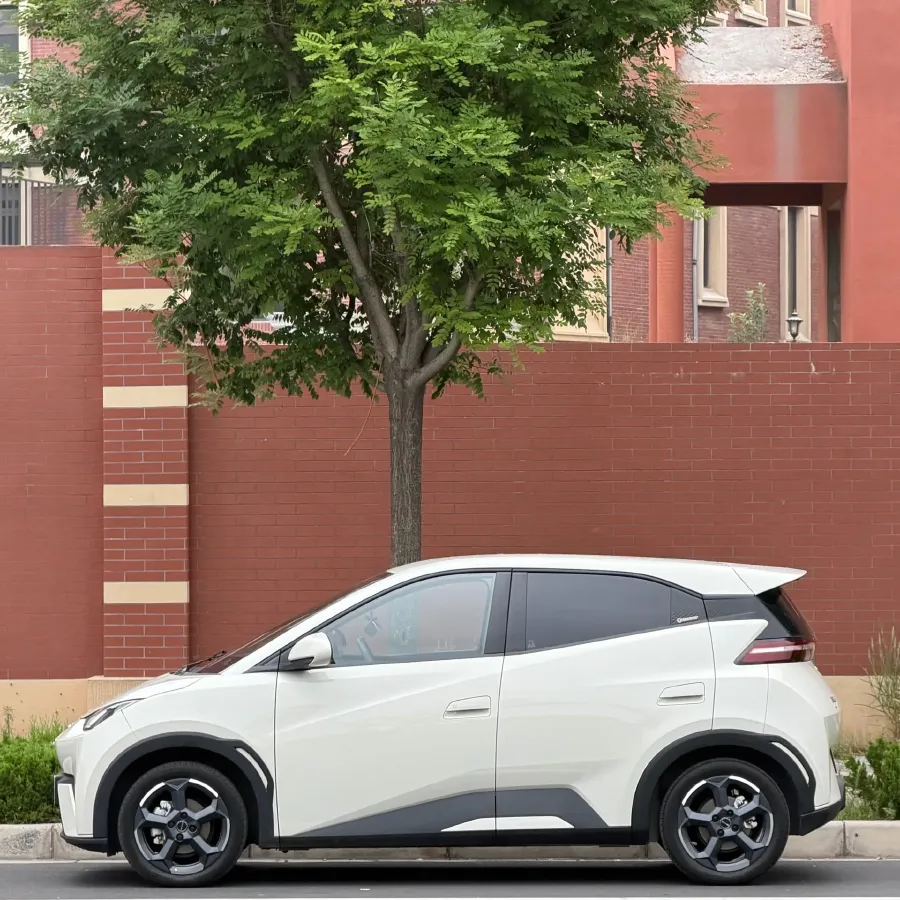 2024 BYD Seagull BEV 30.08KWH,autocango,china used car exporter,china ev exporter,chinese used car exporter,chinese used ev exporter