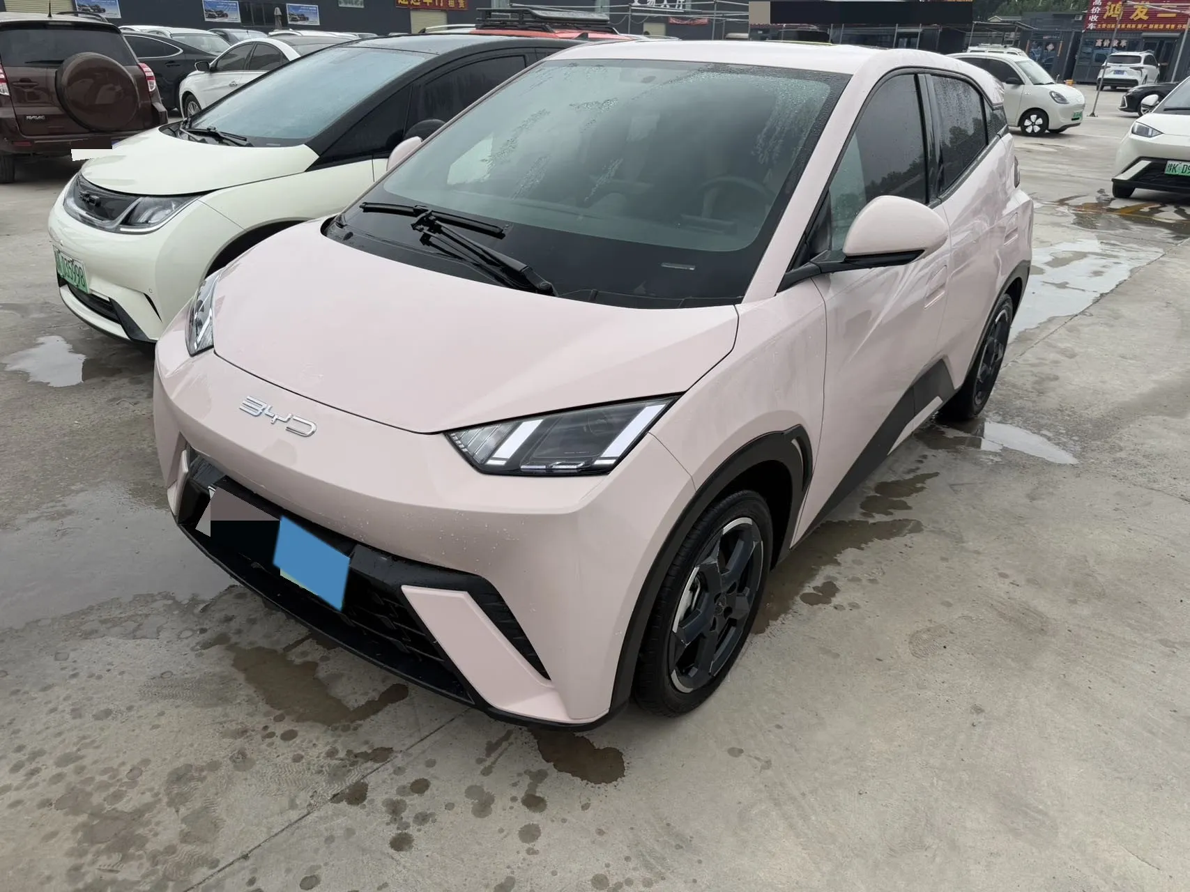 BYD Seagull