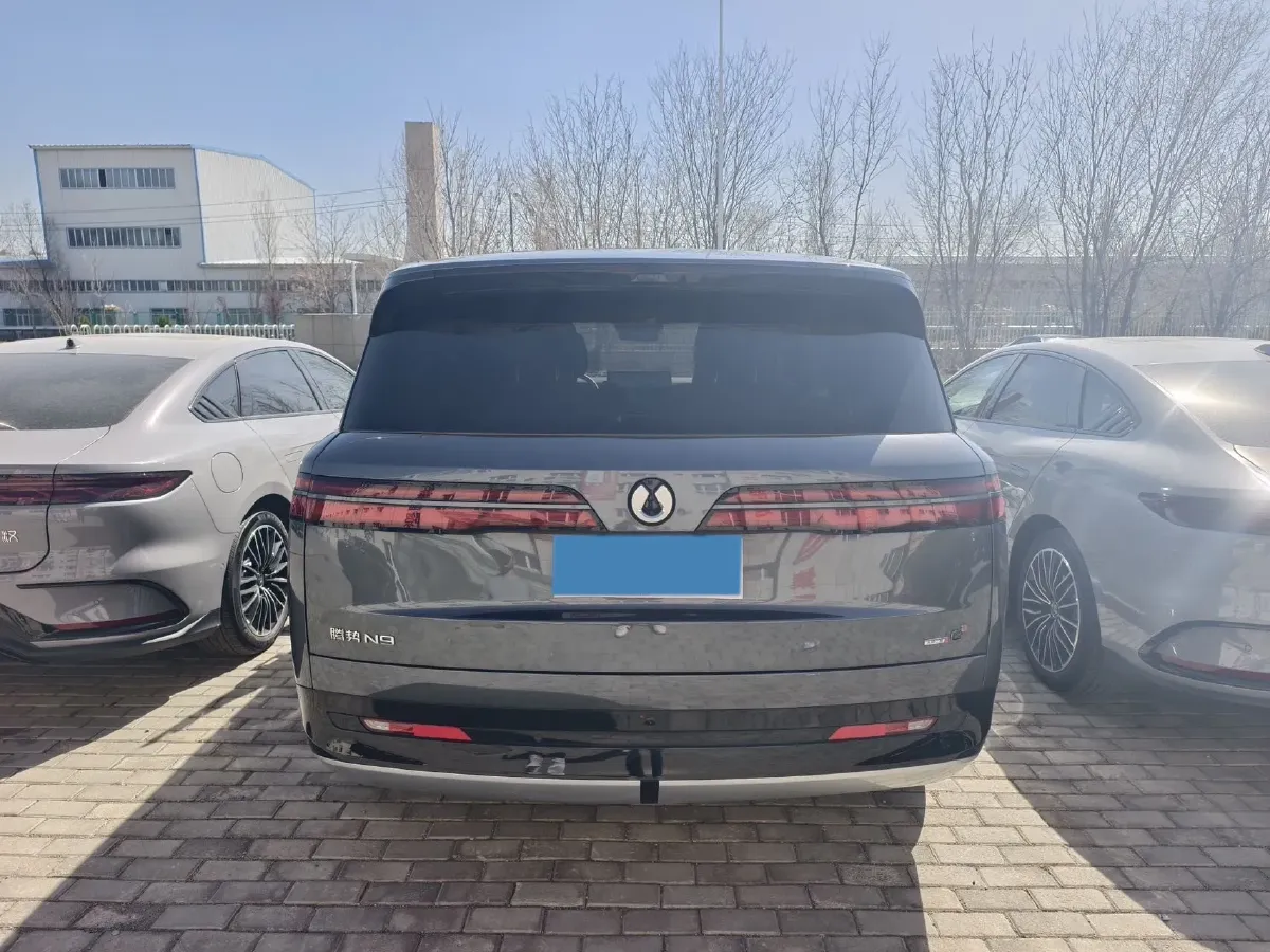 2025 Denza DenzaN9 2.0T 207HP L4 E-CVT PHEV,autocango,china used car exporter,china ev exporter,chinese used car exporter,chinese used ev exporter