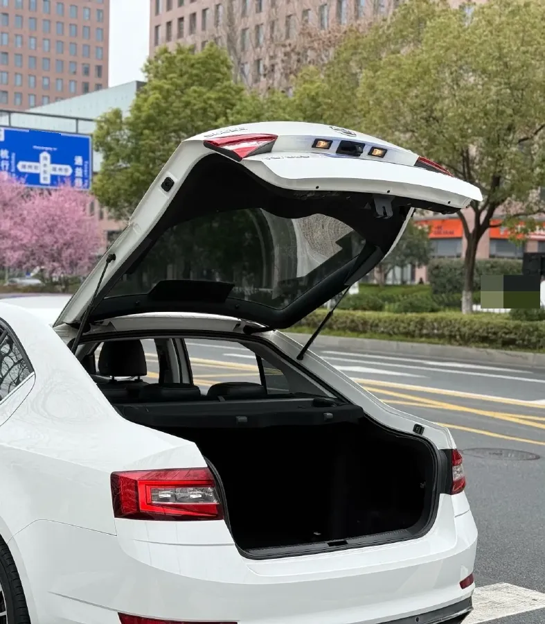 2018 Skoda Octavia 1.2T 116HP L4 7DCT,autocango,china used car exporter,china ev exporter,chinese used car exporter,chinese used ev exporter