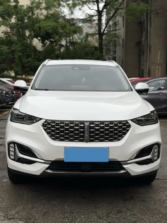 2021 WEY VV6 2.0T 227HP L4 7DCT,autocango,china used car exporter,china ev exporter,chinese used car exporter,chinese used ev exporter