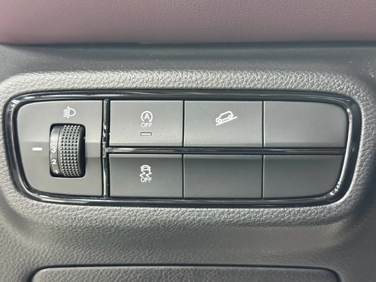 2021 GAC Trumpchi M6 1.5T 169HP L4 6AT,autocango,china used car exporter,china ev exporter,chinese used car exporter,chinese used ev exporter