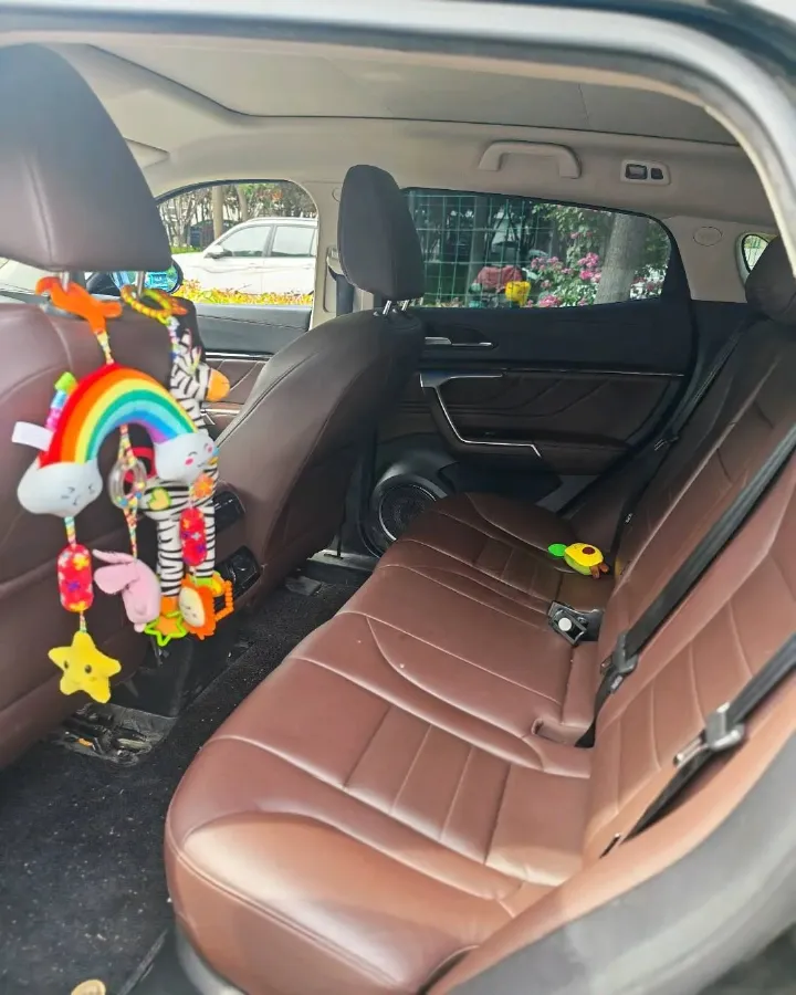 2019 WEY VV5 2.0T 224HP L4 7DCT,autocango,china used car exporter,china ev exporter,chinese used car exporter,chinese used ev exporter