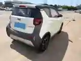 2019 Chery Little Ant BEV 30.6KWH