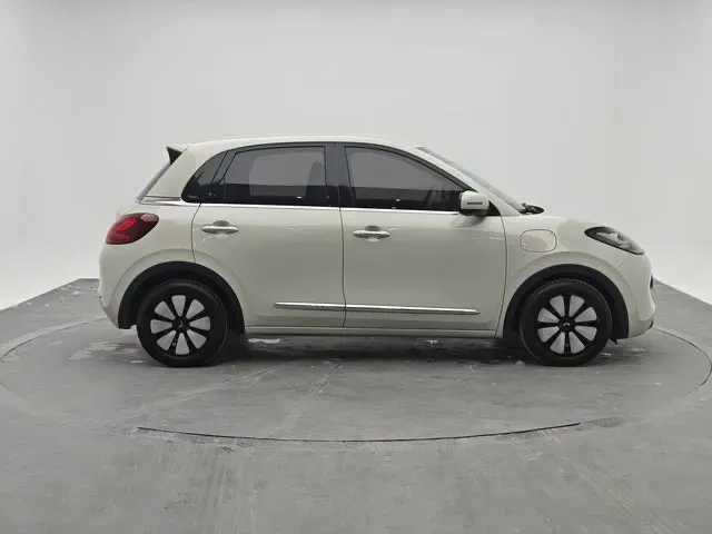 2023 WuLing BinGuo BEV 31.9KWH,autocango,china used car exporter,china ev exporter,chinese used car exporter,chinese used ev exporter