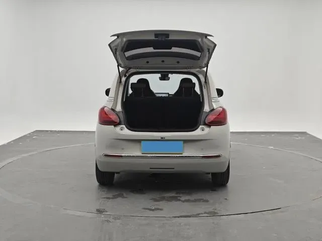 2023 WuLing BinGuo BEV 31.9KWH,autocango,china used car exporter,china ev exporter,chinese used car exporter,chinese used ev exporter