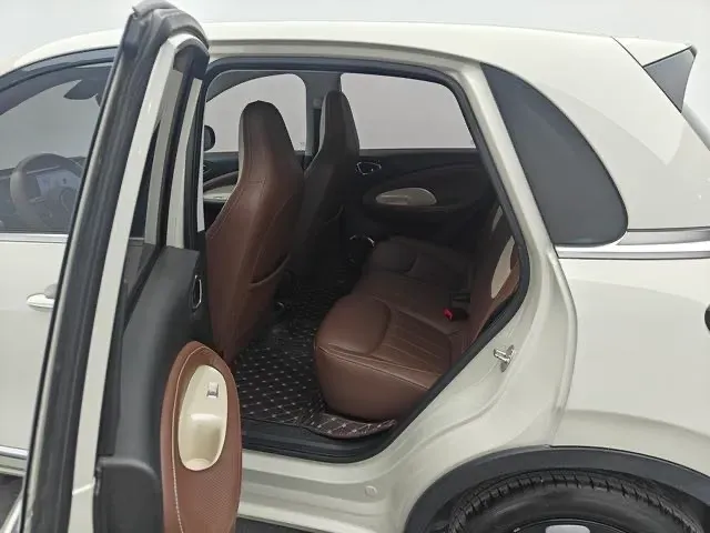 2023 WuLing BinGuo BEV 31.9KWH,autocango,china used car exporter,china ev exporter,chinese used car exporter,chinese used ev exporter