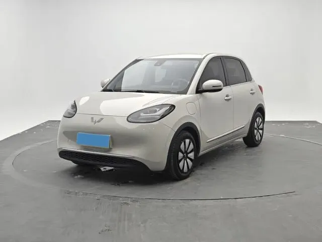 2023 WuLing BinGuo BEV 31.9KWH,autocango,china used car exporter,china ev exporter,chinese used car exporter,chinese used ev exporter