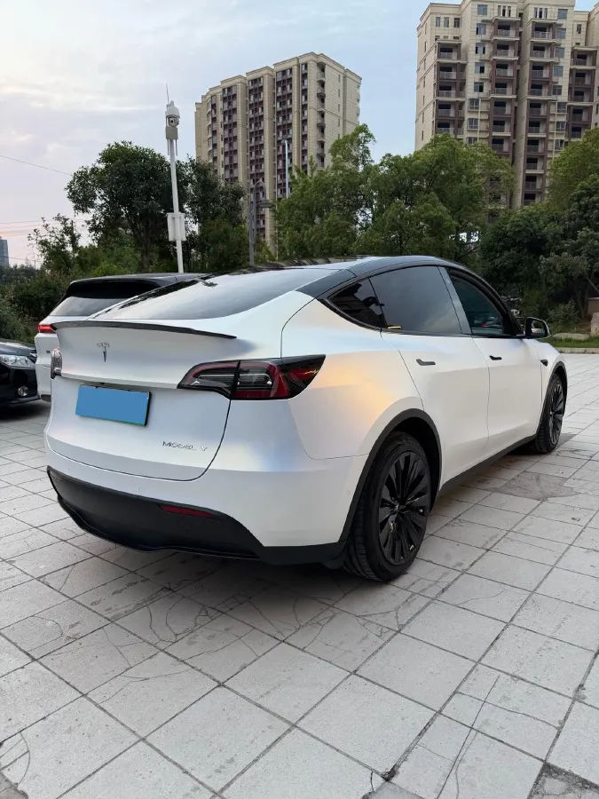 2021 Tesla Model Y BEV 60KWH,autocango,china used car exporter,china ev exporter,chinese used car exporter,chinese used ev exporter