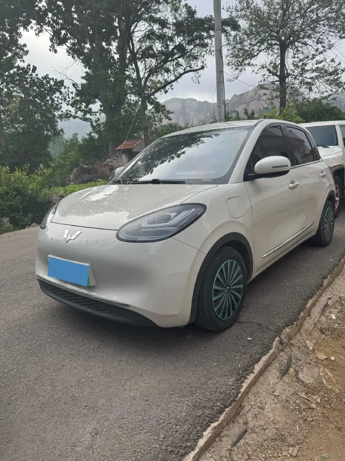 2023 WuLing BinGuo BEV 31.9KWH,autocango,china used car exporter,china ev exporter,chinese used car exporter,chinese used ev exporter