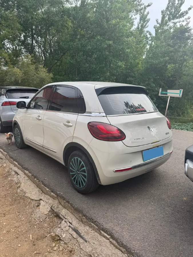 2023 WuLing BinGuo BEV 31.9KWH,autocango,china used car exporter,china ev exporter,chinese used car exporter,chinese used ev exporter