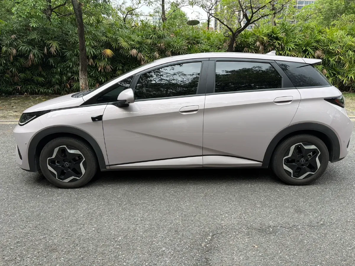 2025 BYD Dolphin BEV 45.12KWH,autocango,china used car exporter,china ev exporter,chinese used car exporter,chinese used ev exporter