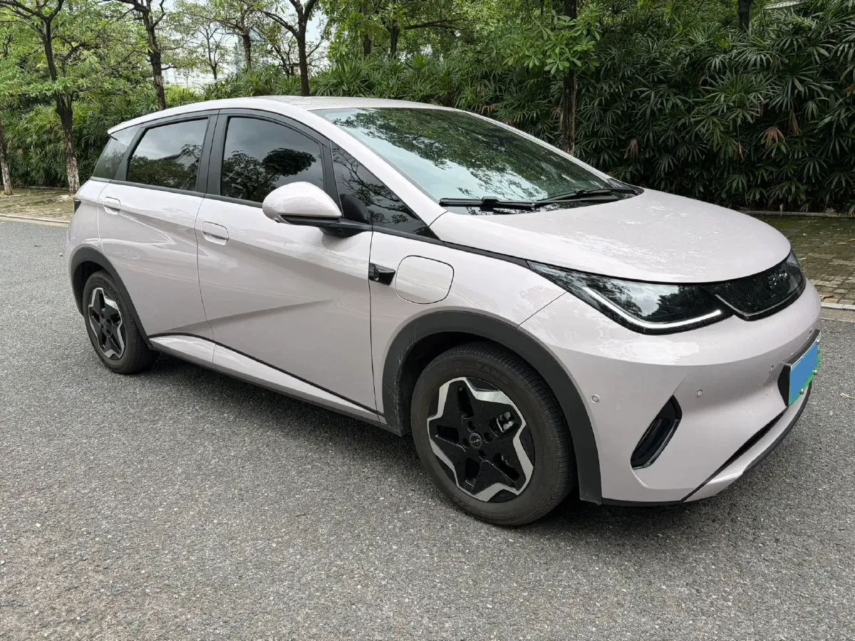 2025 BYD Dolphin BEV 45.12KWH,autocango,china used car exporter,china ev exporter,chinese used car exporter,chinese used ev exporter
