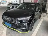 2021 HAVAL RABBIT,autocango,china used car exporter,china ev exporter,chinese used car exporter,chinese used ev exporter
