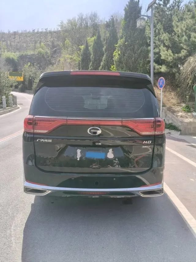 2024 GAC Trumpchi M8 2.0T 252HP L4 8AT,autocango,china used car exporter,china ev exporter,chinese used car exporter,chinese used ev exporter