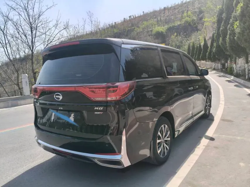 2024 GAC Trumpchi M8 2.0T 252HP L4 8AT,autocango,china used car exporter,china ev exporter,chinese used car exporter,chinese used ev exporter