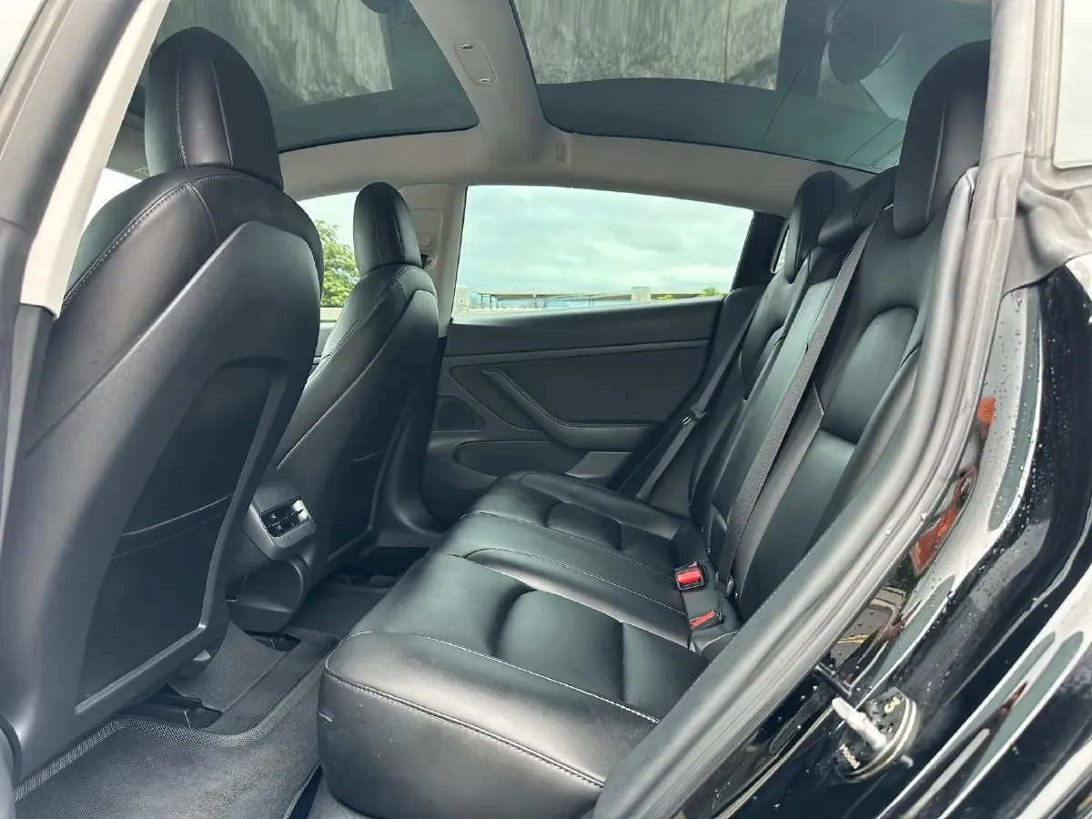 2020 Tesla Model 3 BEV 52KWH,autocango,china used car exporter,china ev exporter,chinese used car exporter,chinese used ev exporter
